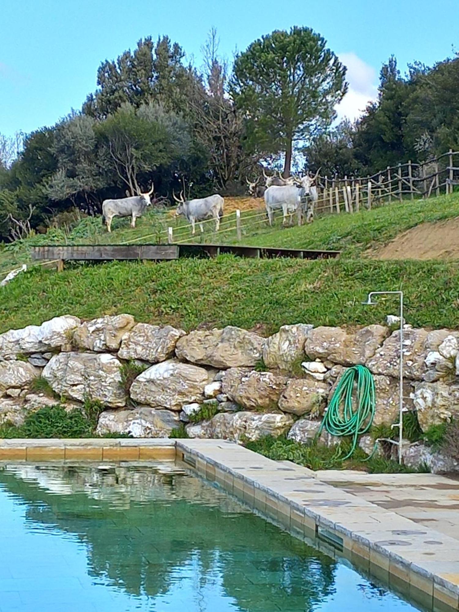 Casa de Campo Di Gello