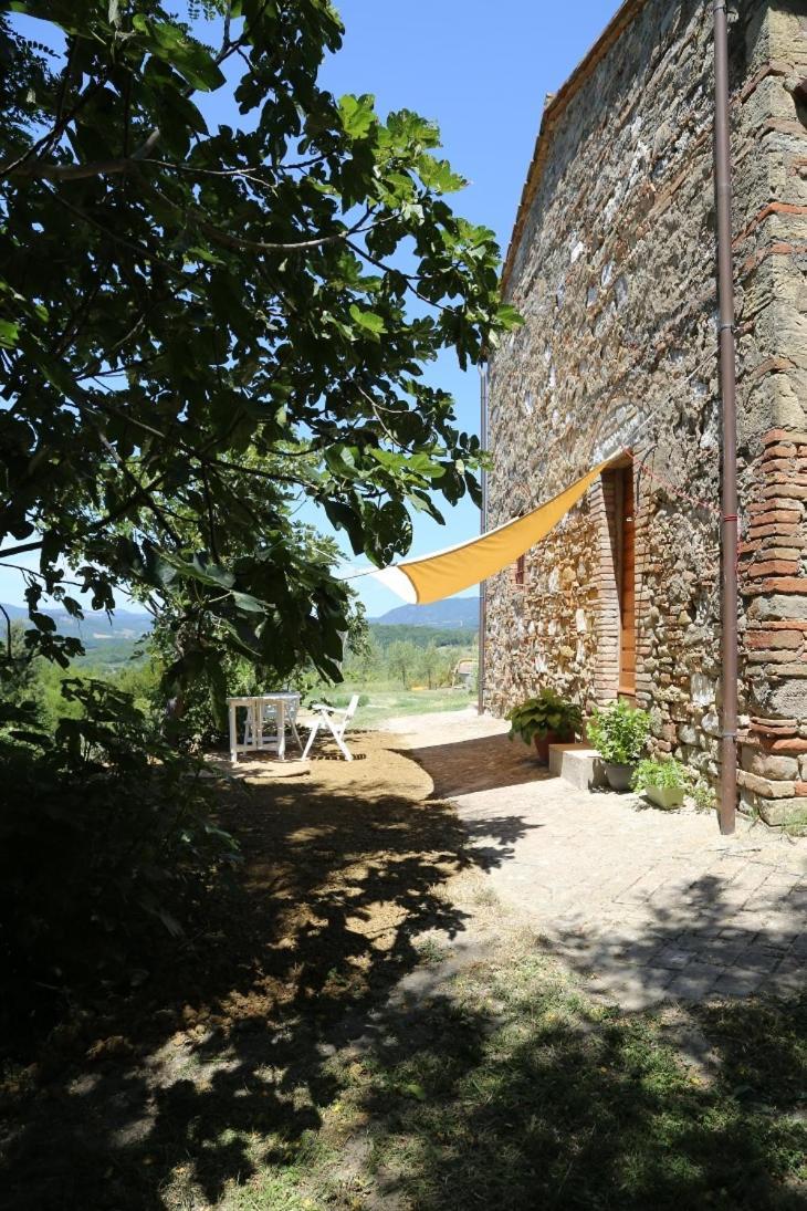 Di Gello *